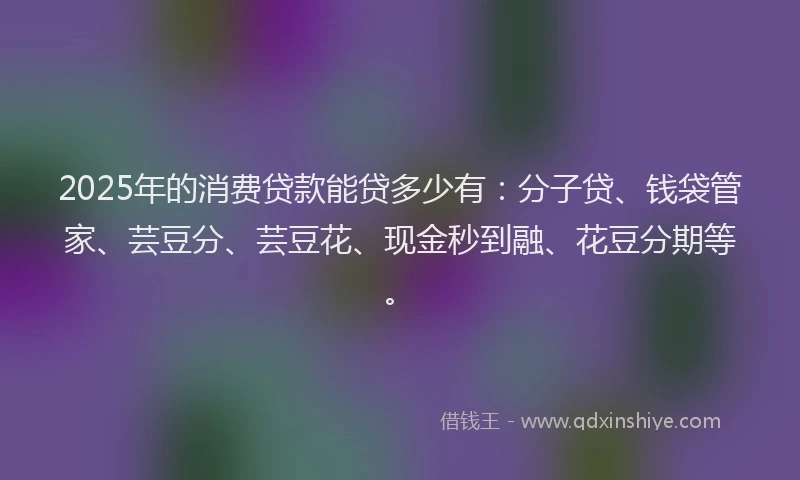 2025年的消费贷款能贷多少有：分子贷、钱袋管家、芸豆分、芸豆花、现金秒到融、花豆分期等。