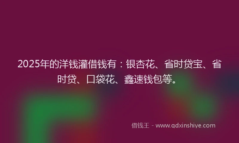 2025年的洋钱灌借钱有：银杏花、省时贷宝、省时贷、口袋花、鑫速钱包等。