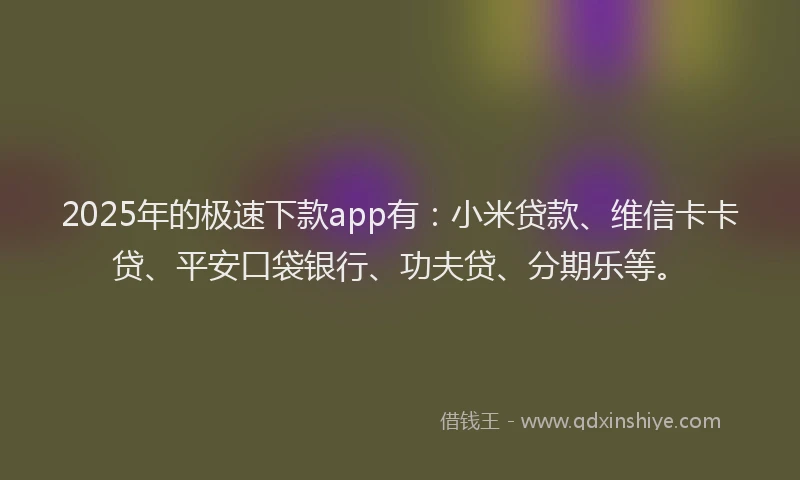 2025年的极速下款app有：小米贷款、维信卡卡贷、平安口袋银行、功夫贷、分期乐等。