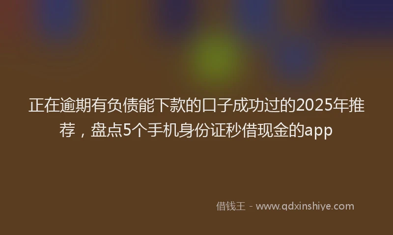 正在逾期有负债能下款的口子成功过的2025年推荐，盘点5个手机身份证秒借现金的app