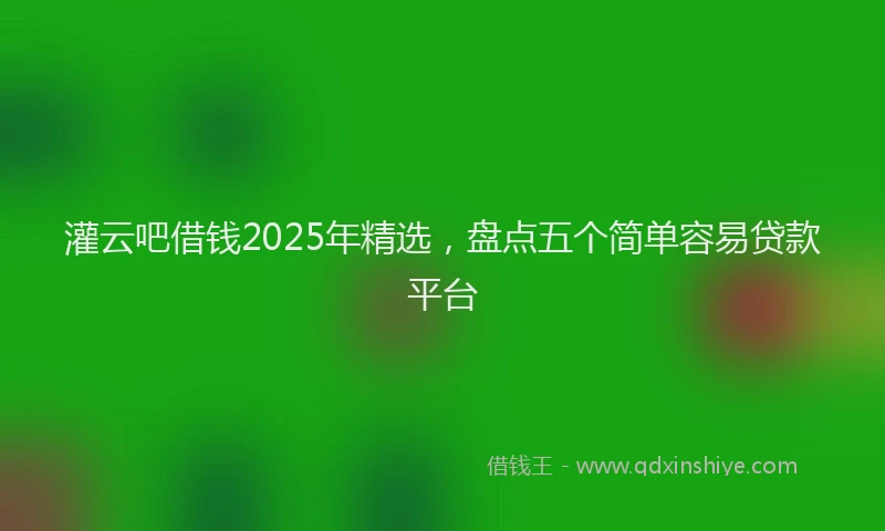 灌云吧借钱2025年精选，盘点五个简单容易贷款平台