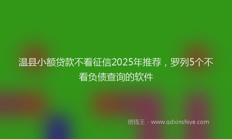 温县小额贷款不看征信2025年推荐，罗列5个不看负债查询的软件