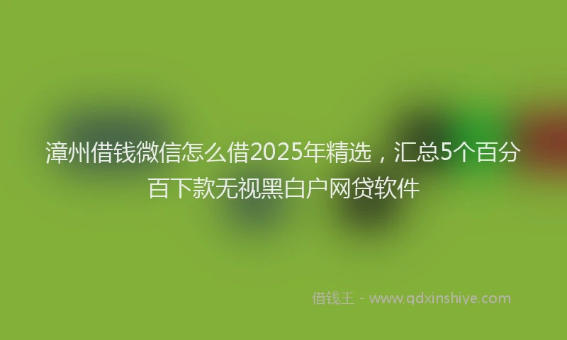漳州借钱微信怎么借2025年精选，汇总5个百分百下款无视黑白户网贷软件