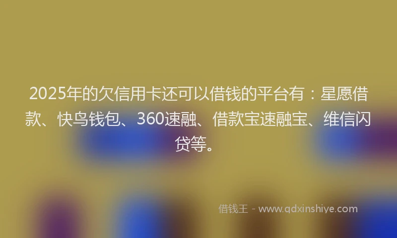2025年的欠信用卡还可以借钱的平台有：星愿借款、快鸟钱包、360速融、借款宝速融宝、维信闪贷等。