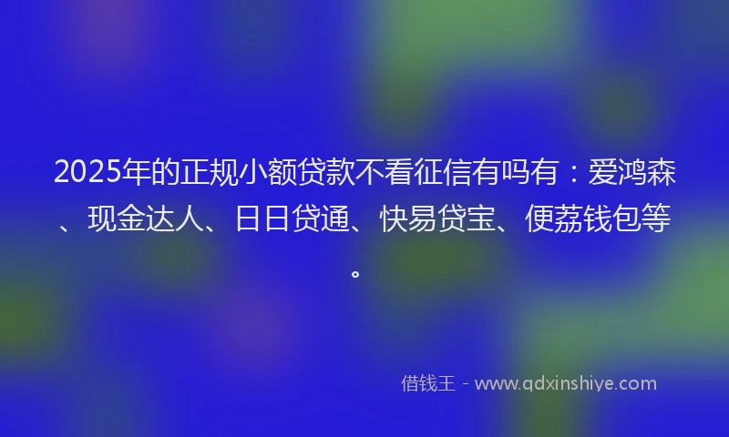 2025年的正规小额贷款不看征信有吗有：爱鸿森、现金达人、日日贷通、快易贷宝、便荔钱包等。