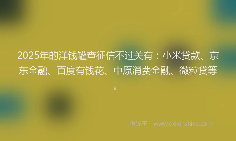 2025年的洋钱罐查征信不过关有：小米贷款、京东金融、百度有钱花、中原消费金融、微粒贷等。