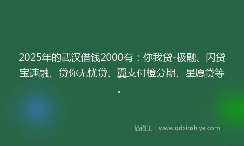 2025年的武汉借钱2000有：你我贷-极融、闪贷宝速融、贷你无忧贷、翼支付橙分期、星愿贷等。
