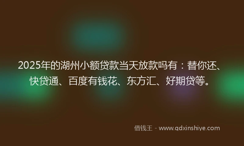 2025年的湖州小额贷款当天放款吗有：替你还、快贷通、百度有钱花、东方汇、好期贷等。