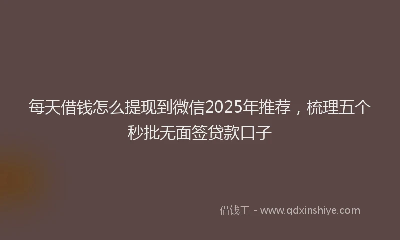 每天借钱怎么提现到微信2025年推荐，梳理五个秒批无面签贷款口子