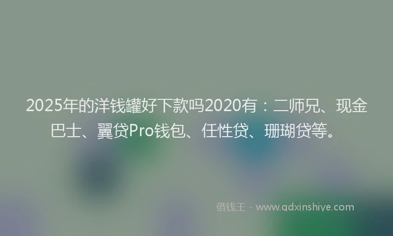 2025年的洋钱罐好下款吗2020有：二师兄、现金巴士、翼贷Pro钱包、任性贷、珊瑚贷等。