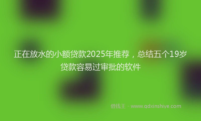 正在放水的小额贷款2025年推荐，总结五个19岁贷款容易过审批的软件