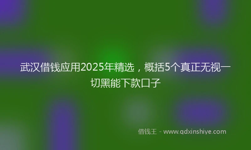 武汉借钱应用2025年精选，概括5个真正无视一切黑能下款口子