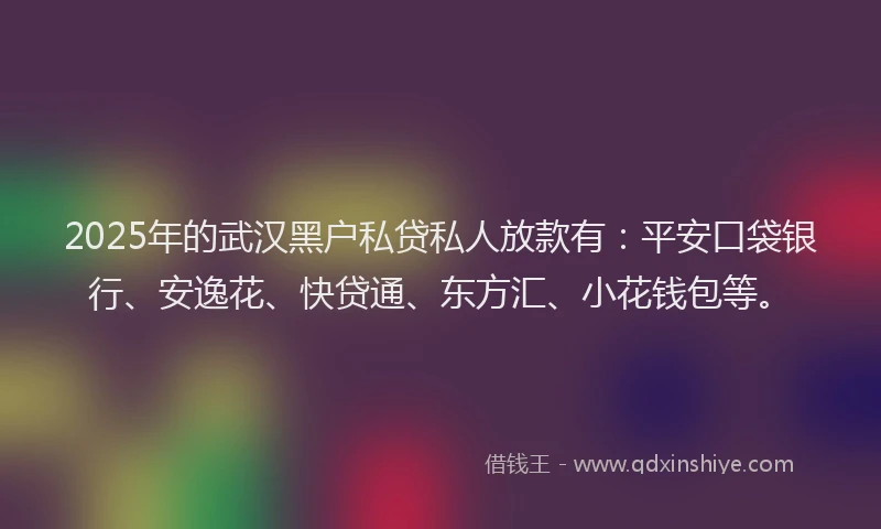 2025年的武汉黑户私贷私人放款有：平安口袋银行、安逸花、快贷通、东方汇、小花钱包等。
