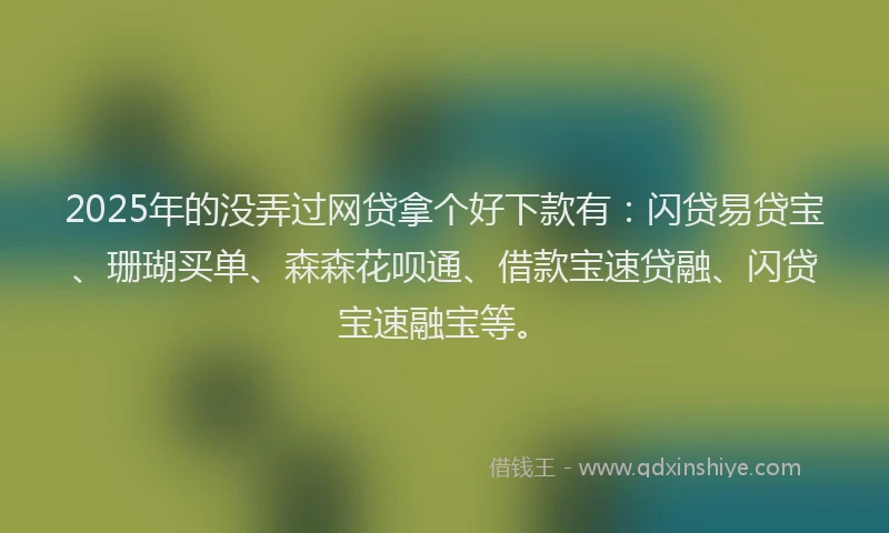 2025年的没弄过网贷拿个好下款有：闪贷易贷宝、珊瑚买单、森森花呗通、借款宝速贷融、闪贷宝速融宝等。