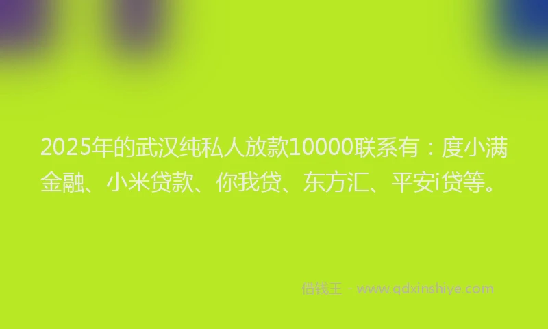 2025年的武汉纯私人放款10000联系有：度小满金融、小米贷款、你我贷、东方汇、平安i贷等。