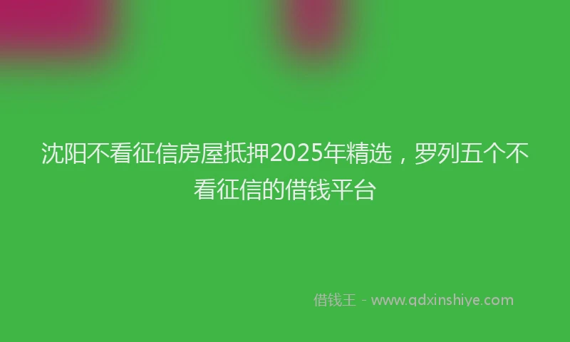 沈阳不看征信房屋抵押2025年精选，罗列五个不看征信的借钱平台