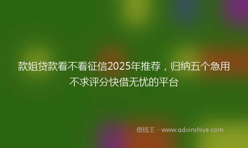 款姐贷款看不看征信2025年推荐，归纳五个急用不求评分快借无忧的平台