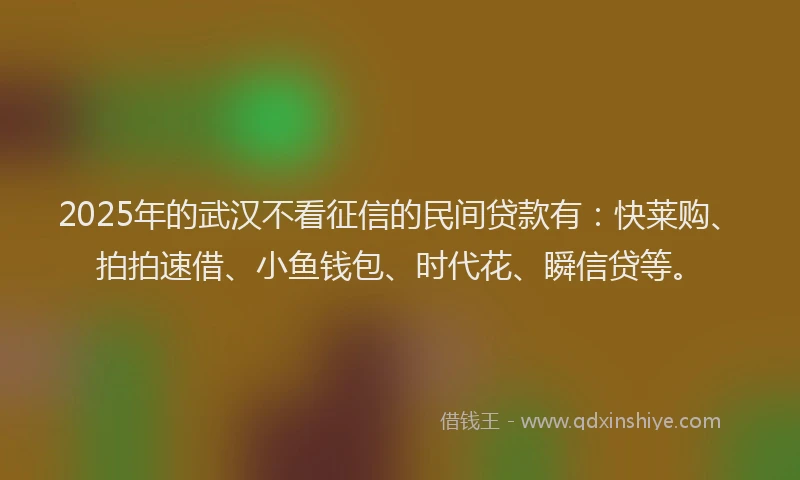 2025年的武汉不看征信的民间贷款有：快莱购、拍拍速借、小鱼钱包、时代花、瞬信贷等。