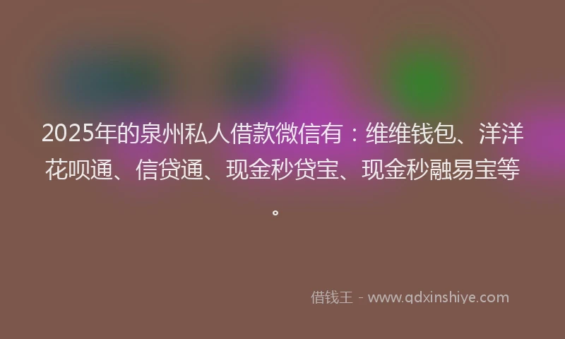 2025年的泉州私人借款微信有：维维钱包、洋洋花呗通、信贷通、现金秒贷宝、现金秒融易宝等。