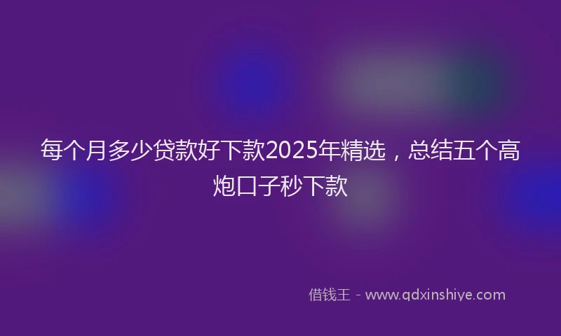 每个月多少贷款好下款2025年精选，总结五个高炮口子秒下款