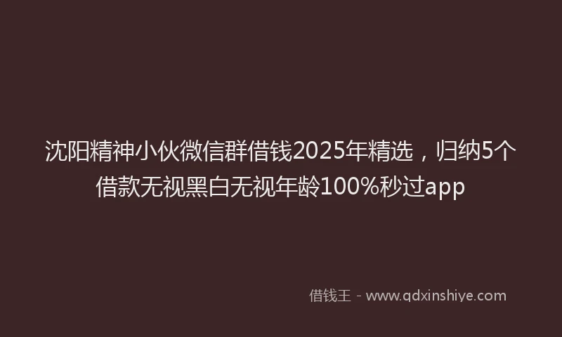 沈阳精神小伙微信群借钱2025年精选，归纳5个借款无视黑白无视年龄100%秒过app