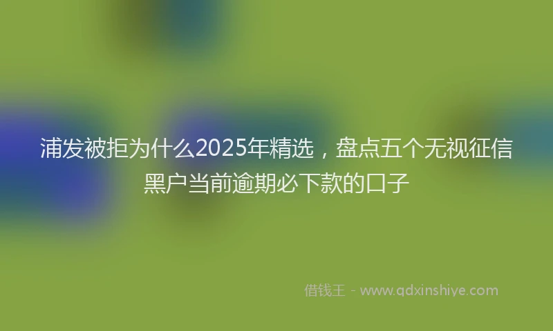 浦发被拒为什么2025年精选，盘点五个无视征信黑户当前逾期必下款的口子