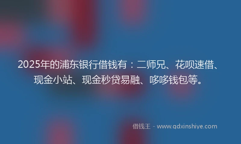 2025年的浦东银行借钱有：二师兄、花呗速借、现金小站、现金秒贷易融、哆哆钱包等。