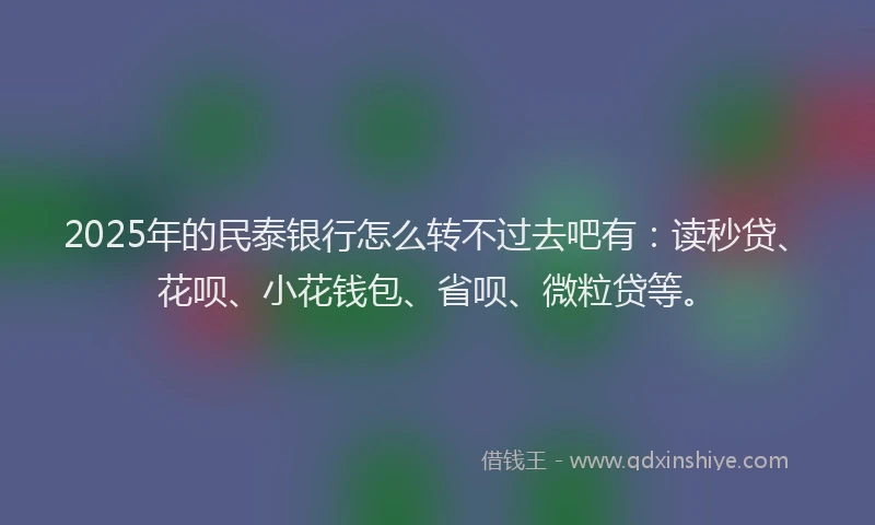 2025年的民泰银行怎么转不过去吧有：读秒贷、花呗、小花钱包、省呗、微粒贷等。