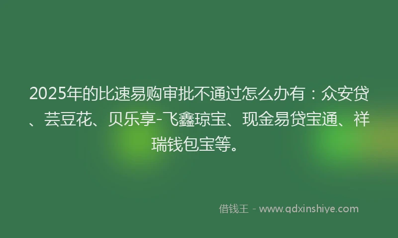2025年的比速易购审批不通过怎么办有：众安贷、芸豆花、贝乐享-飞鑫琼宝、现金易贷宝通、祥瑞钱包宝等。