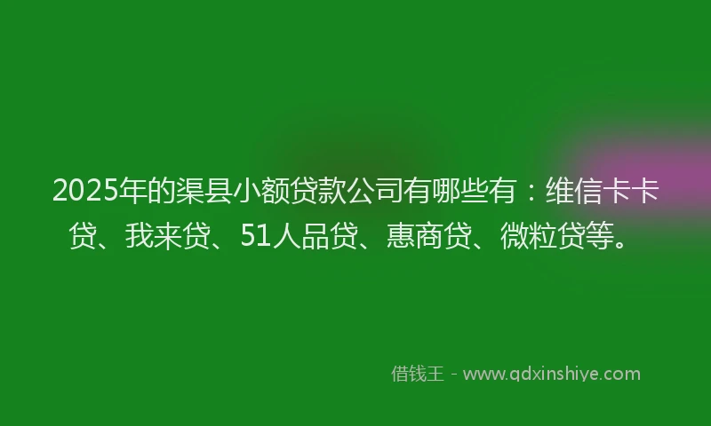 2025年的渠县小额贷款公司有哪些有：维信卡卡贷、我来贷、51人品贷、惠商贷、微粒贷等。
