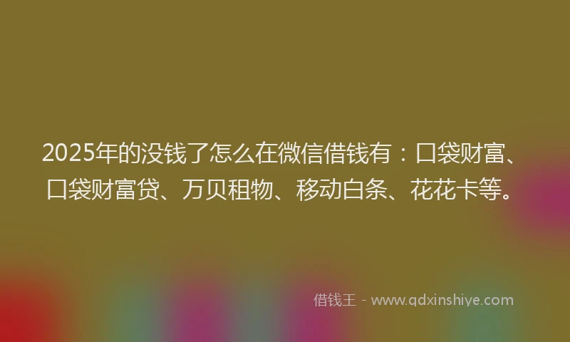 2025年的没钱了怎么在微信借钱有：口袋财富、口袋财富贷、万贝租物、移动白条、花花卡等。