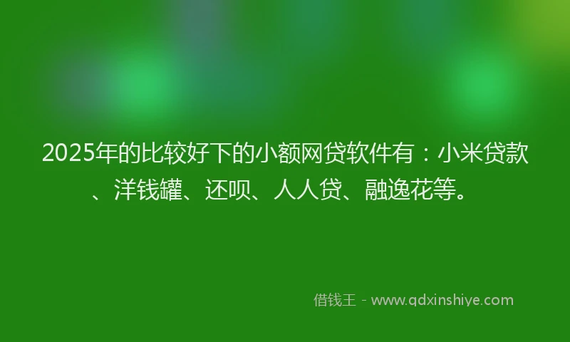 2025年的比较好下的小额网贷软件有：小米贷款、洋钱罐、还呗、人人贷、融逸花等。