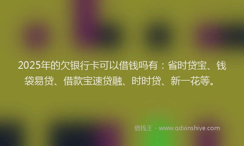2025年的欠银行卡可以借钱吗有：省时贷宝、钱袋易贷、借款宝速贷融、时时贷、新一花等。