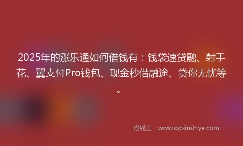 2025年的涨乐通如何借钱有：钱袋速贷融、射手花、翼支付Pro钱包、现金秒借融途、贷你无忧等。