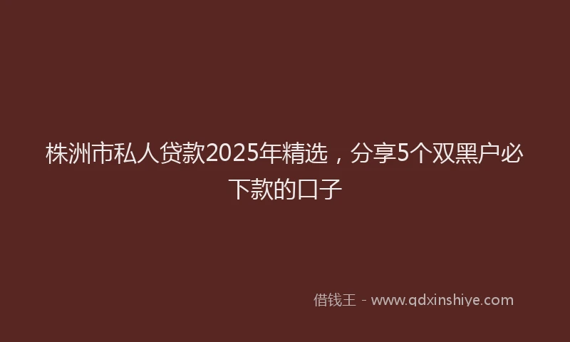 株洲市私人贷款2025年精选，分享5个双黑户必下款的口子