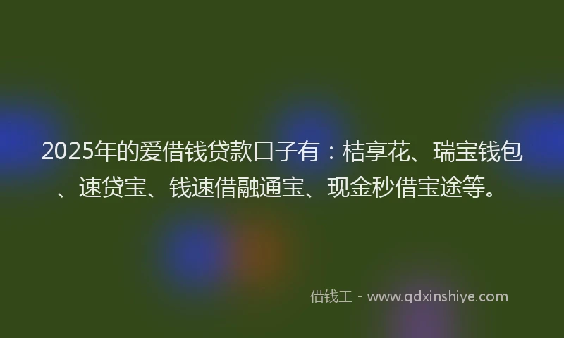 2025年的爱借钱贷款口子有：桔享花、瑞宝钱包、速贷宝、钱速借融通宝、现金秒借宝途等。