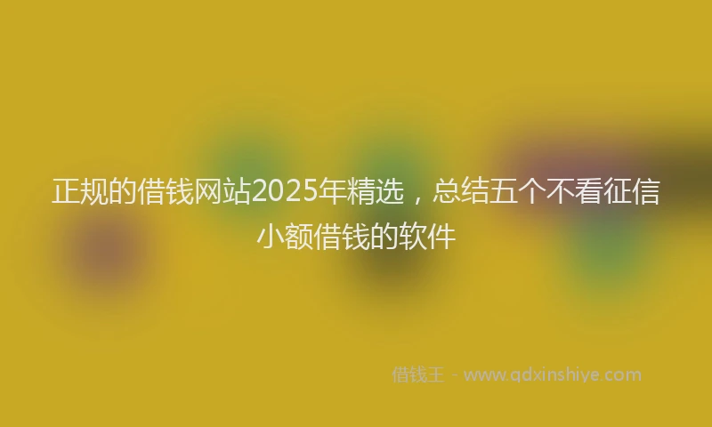 正规的借钱网站2025年精选，总结五个不看征信小额借钱的软件