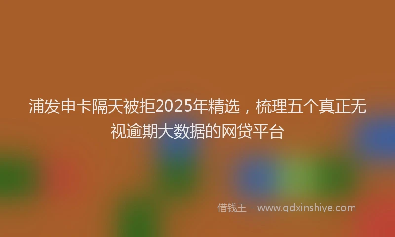 浦发申卡隔天被拒2025年精选，梳理五个真正无视逾期大数据的网贷平台
