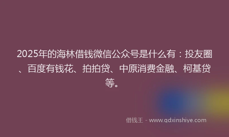 2025年的海林借钱微信公众号是什么有：投友圈、百度有钱花、拍拍贷、中原消费金融、柯基贷等。