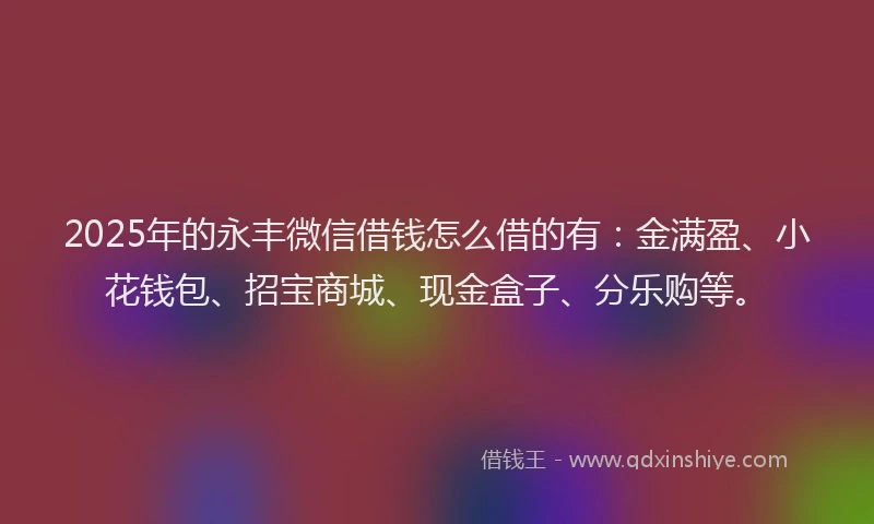 2025年的永丰微信借钱怎么借的有：金满盈、小花钱包、招宝商城、现金盒子、分乐购等。