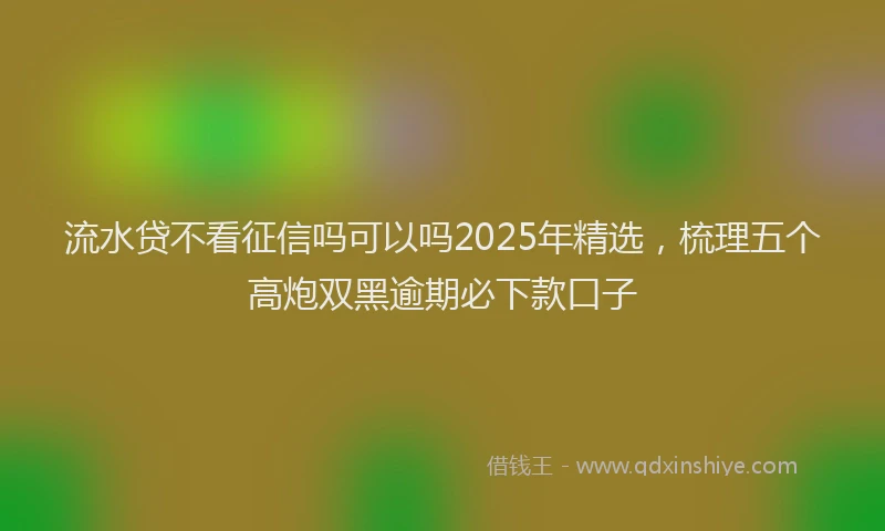 流水贷不看征信吗可以吗2025年精选，梳理五个高炮双黑逾期必下款口子