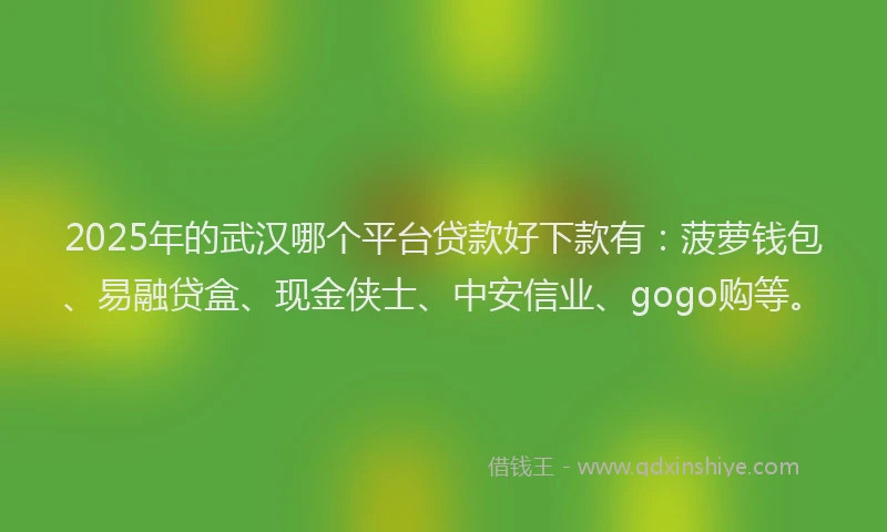 2025年的武汉哪个平台贷款好下款有：菠萝钱包、易融贷盒、现金侠士、中安信业、gogo购等。