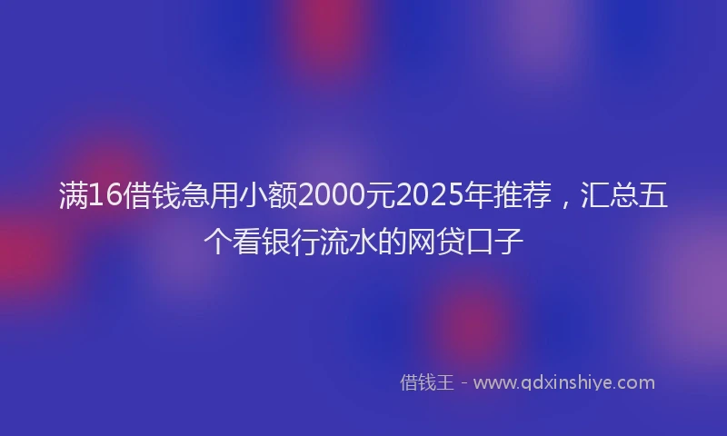 满16借钱急用小额2000元2025年推荐，汇总五个看银行流水的网贷口子