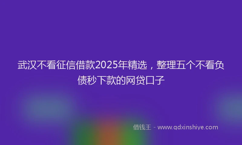 武汉不看征信借款2025年精选，整理五个不看负债秒下款的网贷口子