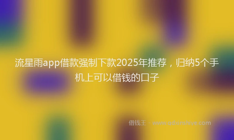 流星雨app借款强制下款2025年推荐，归纳5个手机上可以借钱的口子