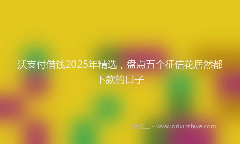 沃支付借钱2025年精选，盘点五个征信花居然都下款的口子