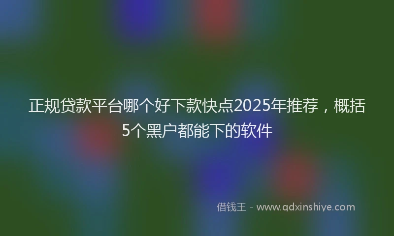 正规贷款平台哪个好下款快点2025年推荐，概括5个黑户都能下的软件