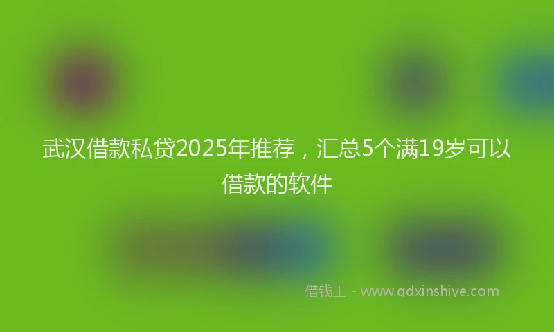 武汉借款私贷2025年推荐，汇总5个满19岁可以借款的软件