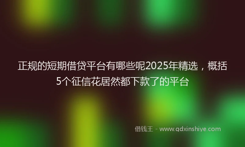 正规的短期借贷平台有哪些呢2025年精选，概括5个征信花居然都下款了的平台