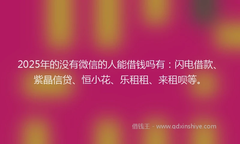 2025年的没有微信的人能借钱吗有：闪电借款、紫晶信贷、恒小花、乐租租、来租呗等。